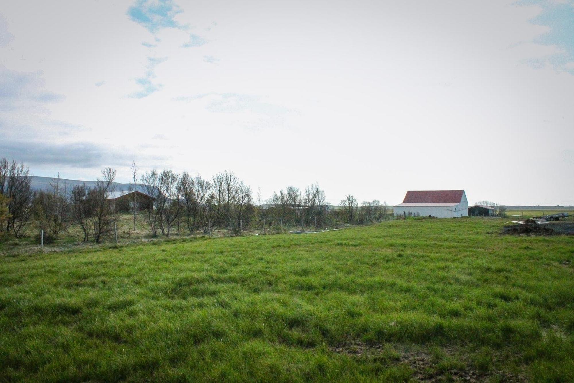 Sun-Cottage South Iceland Olfus 外观 照片